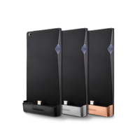 Astell & Kern SP1000 AMP variant 1