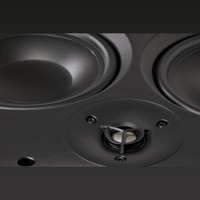 MartinLogan IW5-LCR variant 2