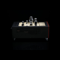 SW1x MPA V “Hercules” SE Mono Power Amplifier variant 7