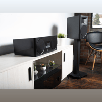 MartinLogan Motion XT C100 variant 23