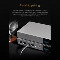 Topping A900 variant 14