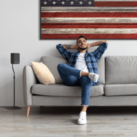 Onkyo Flexus SURR 100 variant 8