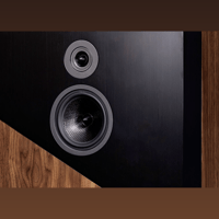 Davis Acoustics The Wall variant 10