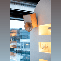 Pitt & Giblin FLARE variant 6