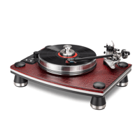 VPI Industries VPI Dragon variant 2