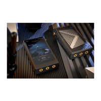 Cayin N6iii T201 variant 28