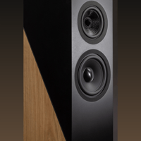 Davis Acoustics The Pledge variant 12