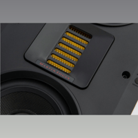 MartinLogan Motion XTW5-LCR variant 2