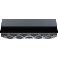 Perlisten R7c variant 6