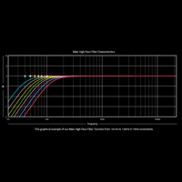 Bel Canto Black Mono Amplifier variant 11