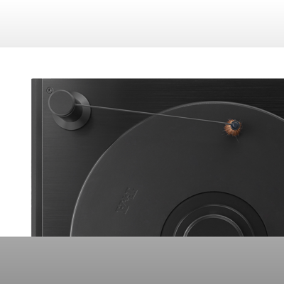 T+A PB 10 Turntable brush
