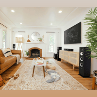 Polk Audio Monitor XT60 variant 10