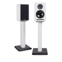 Xavian Ambra Esclusiva variant 6