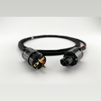 Ikigai Audio Tanoshimi variant 8