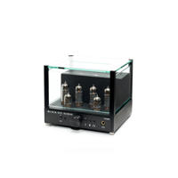 Black Ice Audio Glass FX10H Integrated Tube Amplifier - 12 WPC variant 2