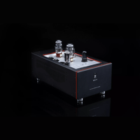 SW1x MPA II “Kronos” PP Mono Power Amplifier variant 3