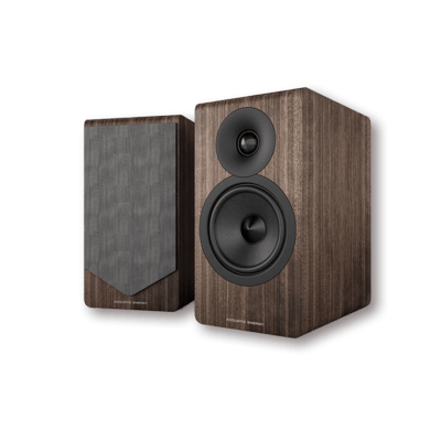 Acoustic Energy AE300