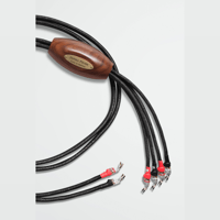 Jorma Audio Prime variant 2