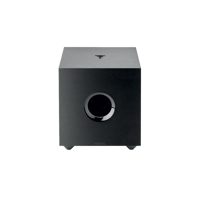 Focal Cub Evo variant 5