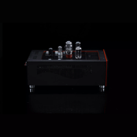 SW1x MPA II “Morpheus” Mono Power Amplifier variant 4