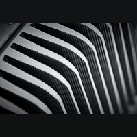 Gryphon Audio Essence variant 8