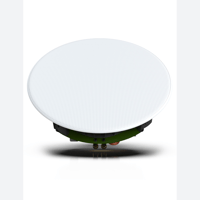 GoldenEar Invisa 650 variant 2