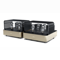 Fezz Audio Olympia Mono Power Amplifier variant 26