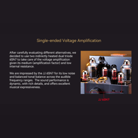 Cayin Soul 170HA variant 9