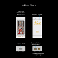 Aune Yuki USB DAC with Headphone Amp variant 20