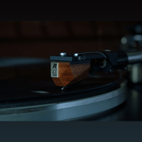 AnalogRelax EX300 Phono Cartridge variant 3