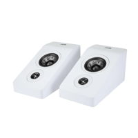 Polk Audio Reserve R900 variant 2