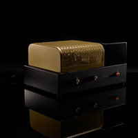 Pilot Radio Pilot Radio Preamplifier variant 1