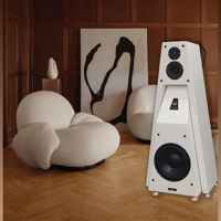 Gershman Acoustics 30th Anniversary Black Swan variant 4