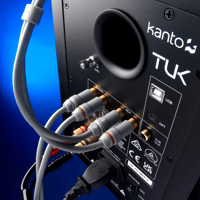 Chord Company Leyline Analogue Audio Interconnect 2RCA-2RCA variant 2