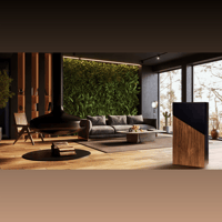 Davis Acoustics The Wall variant 11