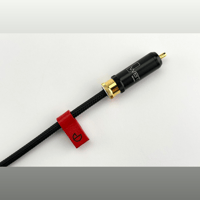 Ikigai Audio Tanoshimi variant 13