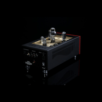 SW1x MPA V “Hercules” SE Mono Power Amplifier variant 8