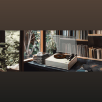 MUSE HiFi MT-102 BT variant 5