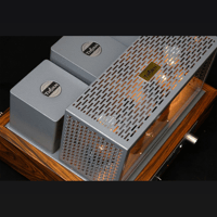 ThivanLabs MAGPIE 811 variant 9