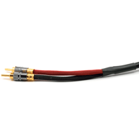 Benchmark Speaker Cable - Banana to Banana - 2 pole variant 1