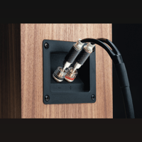 Pro-ject Audio Systems - USA Connect it LS RS variant 6