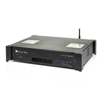 Black Ice Audio Fusion Balanced Tube DAC Transport/DSD/WIFI Streamer variant 2