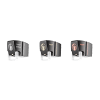 Gold Note vasari variant 1