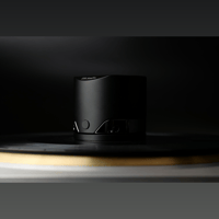 DS Audio ES-002 Eccentricity Detection Stabilizer variant 5