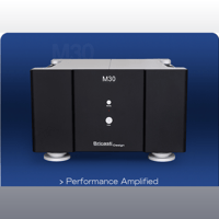 Bricasti Design M30 Monoblock Amplifier variant 1