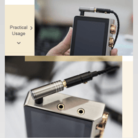 Cayin PH-4X variant 6