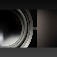 MartinLogan Dynamo 12 variant 1