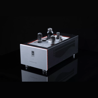 SW1x MPA IV “Aurora” Mono Power Amplifier variant 2