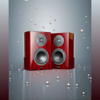 Cayin T30 MK2 variant 5