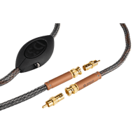 Ansuz Acoustics Digitalz - Copper variant 3